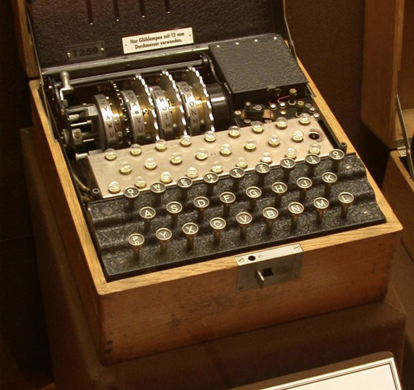 Mostra Internazionale Enigma